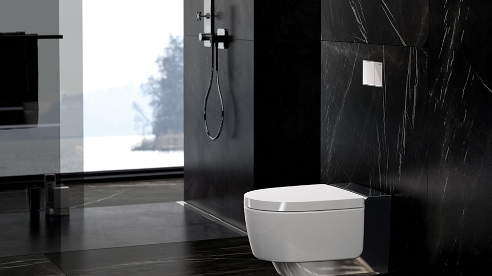 WC lavant Geberit Maïra Comfort WC lavant Geberit Maïra Comfort