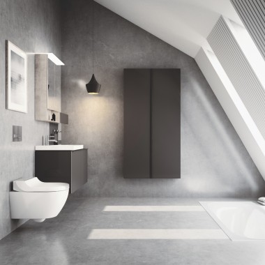 WC lavant Geberit AquaClean Tuma avec recouvrement en acier inoxydable brossé WC lavant Geberit AquaClean Tuma avec recouvrement en acier inoxydable brossé