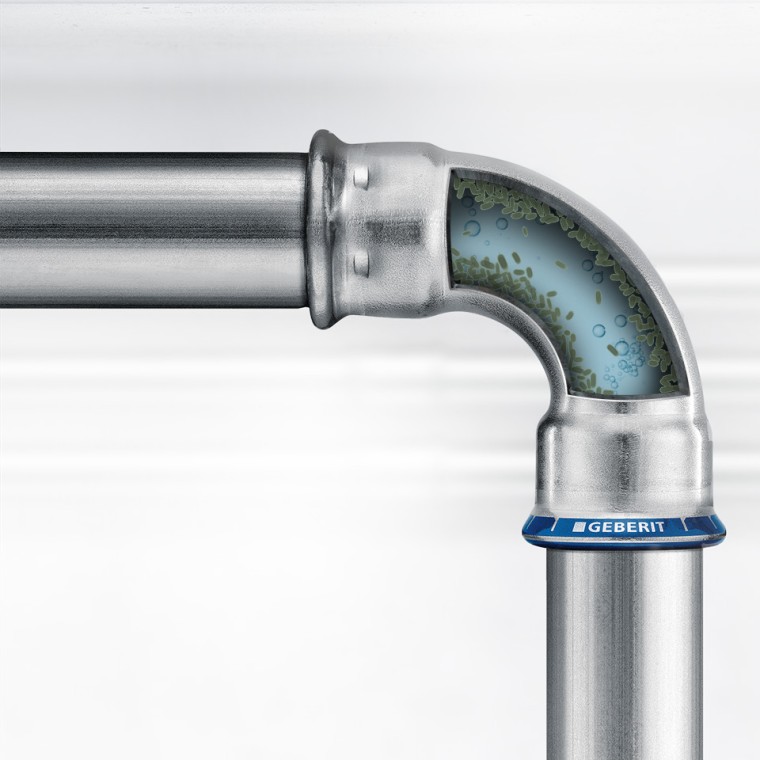 Micro-organismes naturels dans l'eau potable