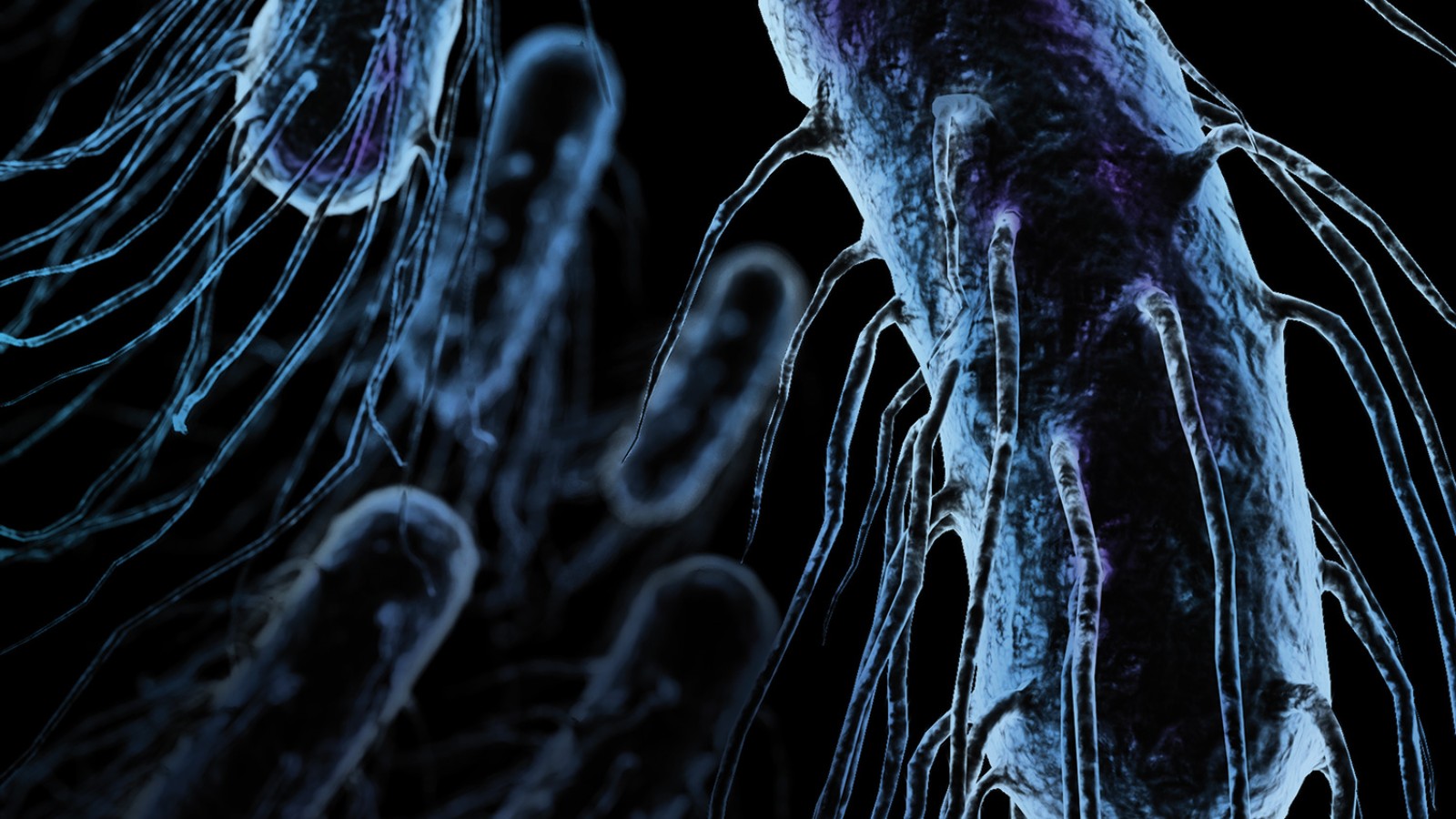 Légionella traitement