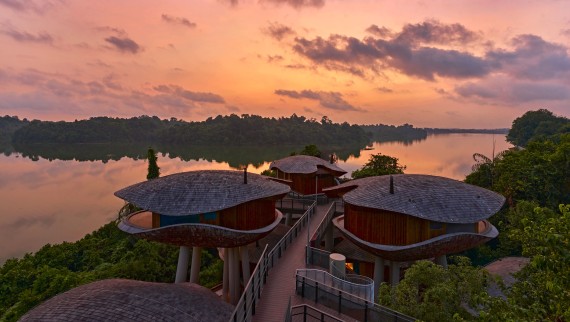 Maisons-capsules au Mandai Rainforest Resort (© Banyan Tree)