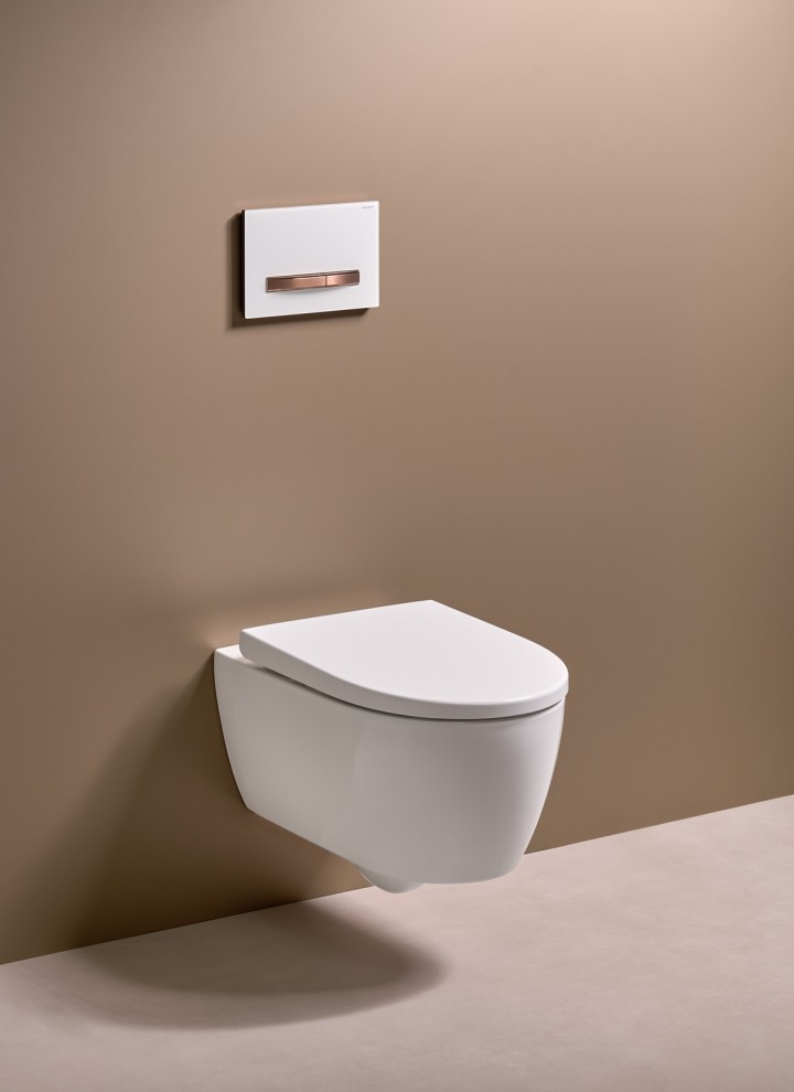 Plaque de déclenchement Geberit Sigma50 pour le WC Plaque de déclenchement Geberit Sigma50 pour le WC