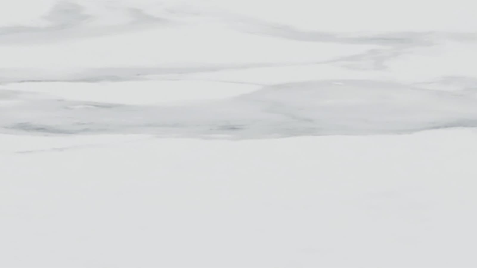 Couleur : Grès blanc aspect marbre Couleur : Grès blanc aspect marbre