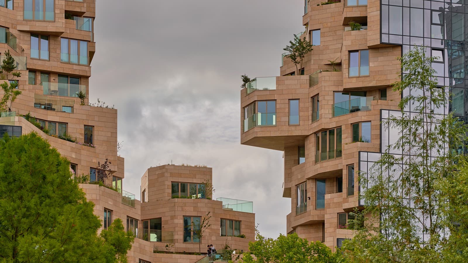Encore nue, la façade sera bientôt verte : 155 variétés de plantes poussent ici (© Marcel Steinbach) Encore nue, la façade sera bientôt verte : 155 variétés de plantes poussent ici (© Marcel Steinbach)